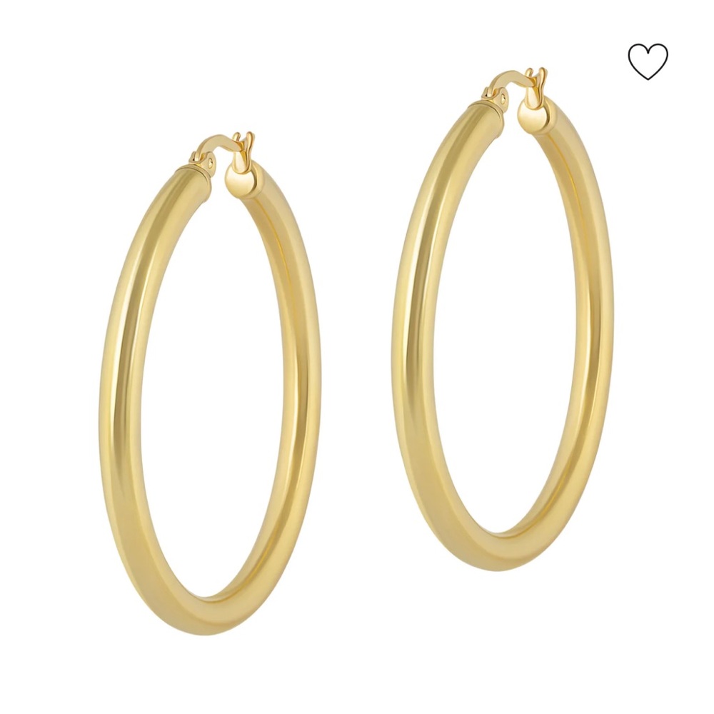 NWT Electric Picks Bleeker Hoop Earrings